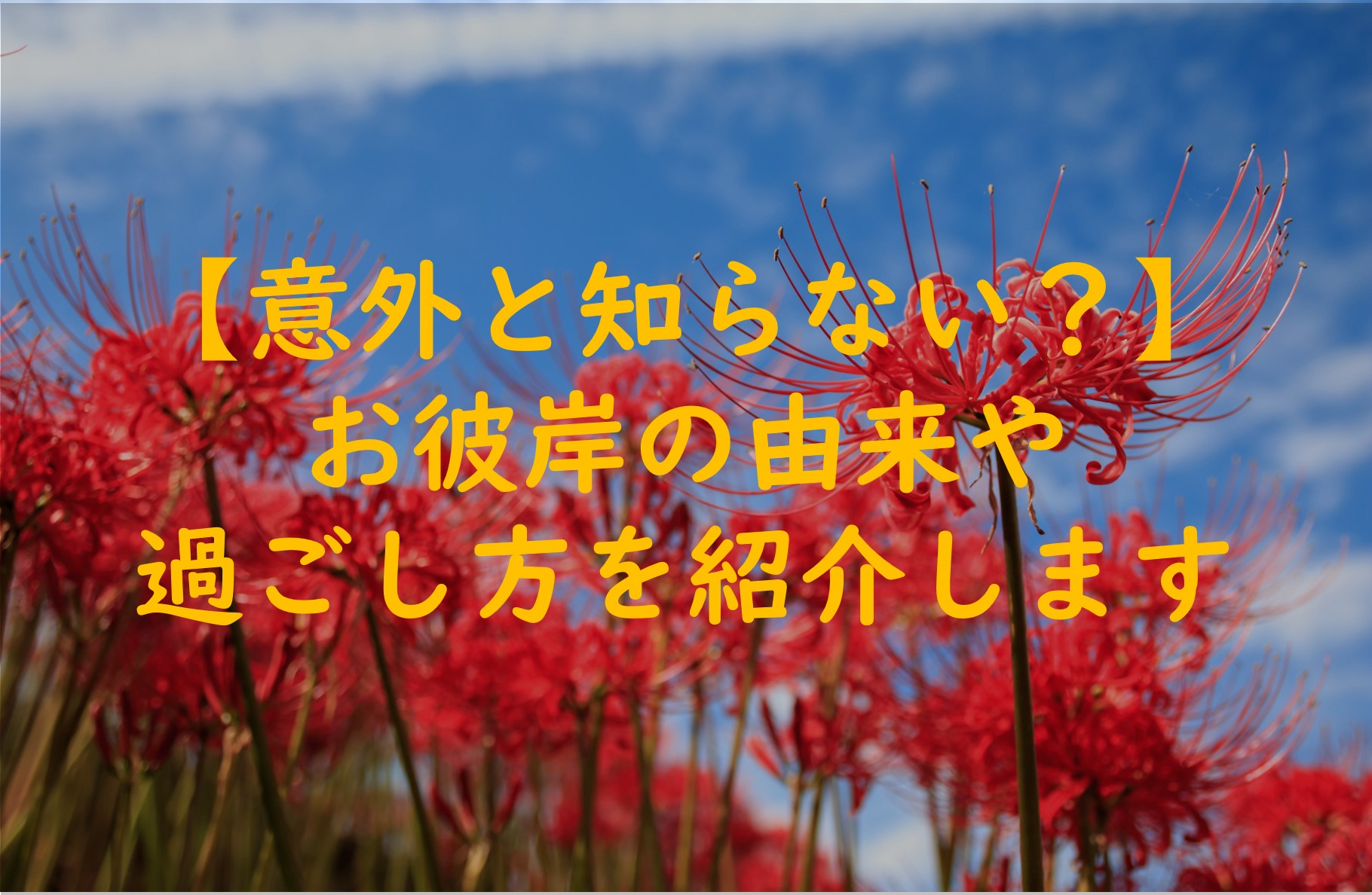 【意外と知らない?】お彼岸の由来や過ごし方を紹介します