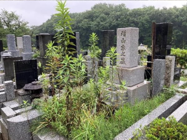 掃除前